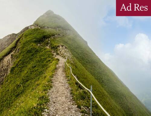 Unmasking Mortality Trends